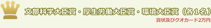 文部科学大臣賞・厚生労働大臣賞・環境大臣賞（各1名）