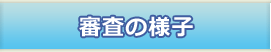 審査の様子