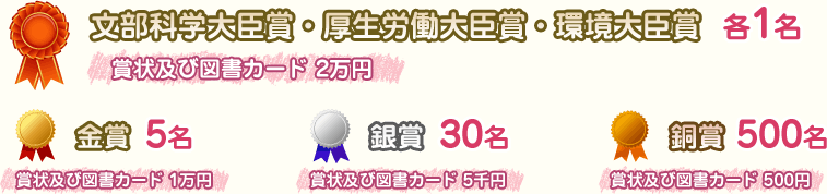 厚生労働大臣賞・環境大臣賞・文部科学大臣賞 各1名 , 金賞 5名 , 銀賞 30名 , 銅賞 500名