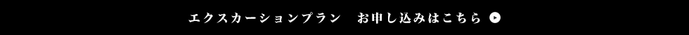 エクスカーションプランはこちら